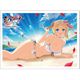 シノビマスター 閃乱カグラ NEW LINK スリーブ 両奈/爆乳祭・参 [キャラクターグッズ]