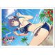 シノビマスター 閃乱カグラ NEW LINK スリーブ 凛/81の日伝説爆乳祭 [キャラクターグッズ]