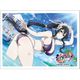 シノビマスター 閃乱カグラ NEW LINK スリーブ 雪不帰/81の日爆乳祭 [キャラクターグッズ]