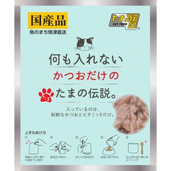 何も入れない かつおだけのたまの伝説 パウチ 35g [猫用 ウェットタイプ 35g]