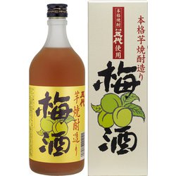 芋焼酎造り五代梅酒（化粧箱入） 12度 720ml [梅酒]