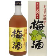 芋焼酎造り五代梅酒（化粧箱入） 12度 720ml [梅酒]