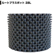 GS-AP350S [ルートプラスポット 28L ブラック]
