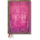 Paperblanks ダイアリー 2024年 ダイアリー エミリー・ディキンソン 私は美のために死んだ ミニ DJ0770-8