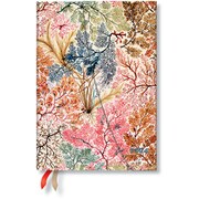 Paperblanks ダイアリー 2024年 ダイアリー アネモネ ミディ DJ0777-7