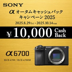 ほぼ新品！保証ありSONY α 6700 高倍率キット 18-135mm 新品)SONY (ソニー) α6700 高倍率ズームレンズキット ILCE-6700M