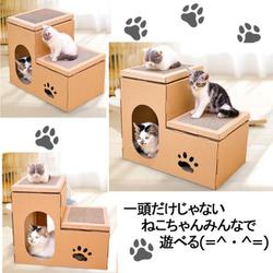 ヨドバシ.com - ベストアンサー pet-039 [猫タワー 猫用爪とぎ ヨドバシ.com - ベストアンサー pet-039 [猫タワー 猫用爪とぎ