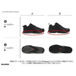 ヨドバシ.com - サロモン SALOMON エックスエープロ 3D V9
