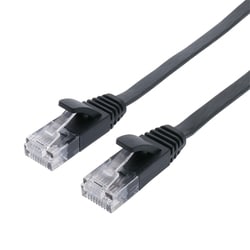 カテゴリー6A LANケーブル 極うす フラット ブラック 1m C6A-F01BK