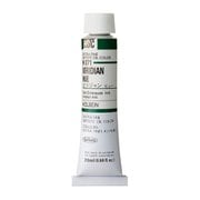 ホルベイン 油絵具 6号 20ml H071 ビリジャンヒュー