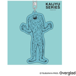 ヨドバシ.com - オーバーグラッド Overglad TBB-039 [アクリル