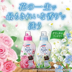 花王 ニュービーズ リュクスクラフト 詰替1160g 15個セット売り Amazon | 花王 ニュービーズ リュクスクラフト 詰替 超特大