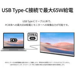 ヨドバシ.com - JAPANNEXT ジャパンネクスト JN-IPS291WFHDR-C65W