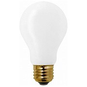 VINTAGE NORMAL LED BULB E26 WHITE White 002102