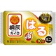 桐灰カイロ はる ミニ 10個入