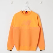 012-3270004-150-6 [ゴルフウェア メンズ クルーネック ニット プルオーバー WO 6サイズ オレンジ]