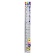 メタクリル 直線定規 30cm HSS300