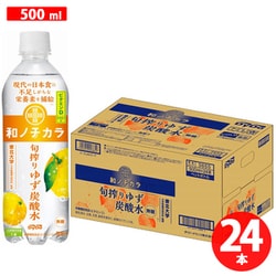 和ノチカラ 旬搾りゆず炭酸水 500ml×24本