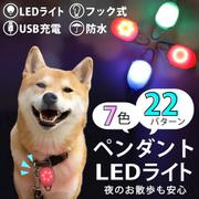 pet-067 [LEDペンタント 光る首輪 犬 猫 小型犬 中型犬 大型犬 首輪 くびわ 発光首輪 LED首輪 ペットライト レインボー 七色 虹色 かんたん USB LED 安全 充電 軽量 視認 夜 夜間 散歩 さんぽ 外出 夜道 リュック 小学生]