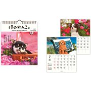YDC-824-235 [限定 カレンダー壁掛け小 ほめわんこ]