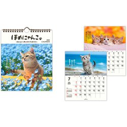 ヨドバシ.com - YDC-824-242 [限定 カレンダー壁掛け小 ほめ