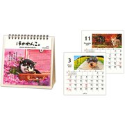 YDC-824-341 [限定 カレンダー卓上 ほめわんこ]