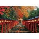 300-037 日本風景 貴船神社もみじ灯篭 [ジグソーパズル 300ピース]