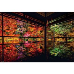 ヨドバシ.com - ビバリー BEVERLY 1000-041 日本風景 秋深まる瑠璃光院