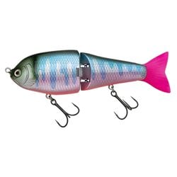 ヒラトップ170F 423 リアルオイカワレッドベリー