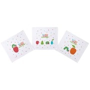 OAC1T はらぺこあおむし/パステル おしぼりタオル 3P [ランチグッズ]