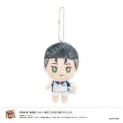 新テニスの王子様 おきがえぬいぐるみ ミニ 青春学園 03. 大石秀一郎 [キャラクターグッズ]