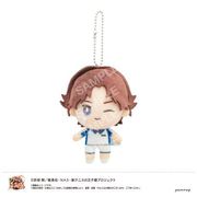 新テニスの王子様 おきがえぬいぐるみ ミニ 青春学園 06. 菊丸英二 [キャラクターグッズ]