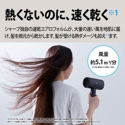 ヨドバシ.com - シャープ SHARP IB-P801-W [Plasmacluster Beauty