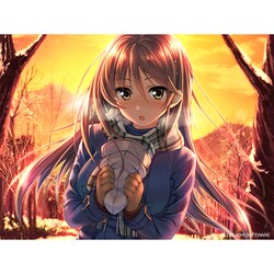 ゲオ公式通販サイト/ゲオオンラインストア【新品】アマカノ