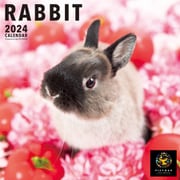 Y1273 [2024 PICTWAN L ラビット L032]