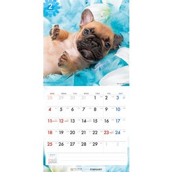 ブルドッグさん 専用ページ ヨドバシ.com - Y1278 [2024 PICTWAN S フレンチ・ブルドッグ