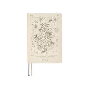 2024年1月始まり ほぼ日手帳HON A6 牧野富太郎/ヤマザクラ