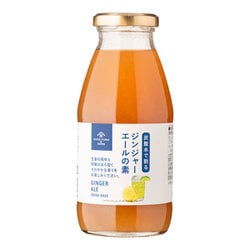 ジンジャーエールの素 290ml