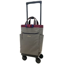 キャリーバッグ SWANY スワニー D-574 ルバンドIII L21 ブラック 4輪ストッパー付 スワニー ルバンドIII M18 46cm D-574 (スーツケース・キャリーケース