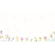 限定 封筒 色とりどりの草花 EV-636