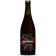 スーパーナチュラル ワイン カンパニー ザ・パラノーマル 750ml ニュージーランド/北島 、ホークスベイ [赤ワイン]