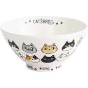 猫3兄弟 飯碗 顔 23124