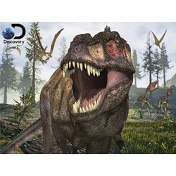 3Dパズル ディスカバリー ティラノサウルス T-REX [ジグソーパズル]