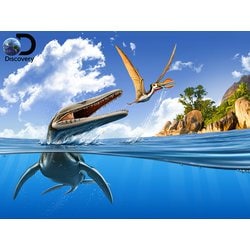 3Dパズル ディスカバリー プレシオプレオドン VS オルニトケイルス [ジグソーパズル]