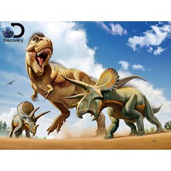 3Dパズル ディスカバリー ティラノサウルス VS トリケラトプス [ジグソーパズル]
