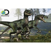 3Dパズル ディスカバリー ベロキラプトル [ジグソーパズル]