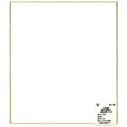 大色紙 画仙 5枚入 SK-762