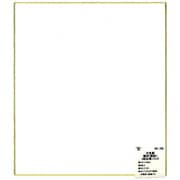 大色紙 画仙 5枚入 SK-762