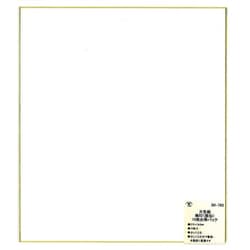 大色紙 画仙 10枚入 SK-763