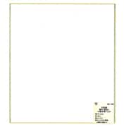 大色紙 画仙 10枚入 SK-763